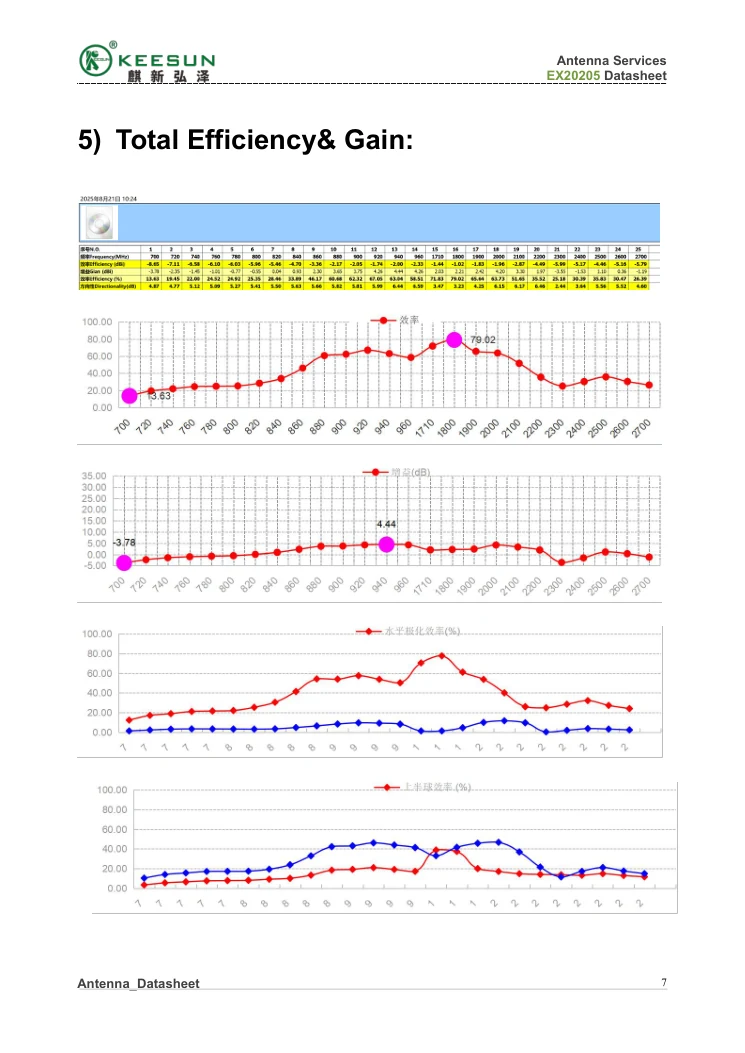 EX20206 Total efficiency and gain report
