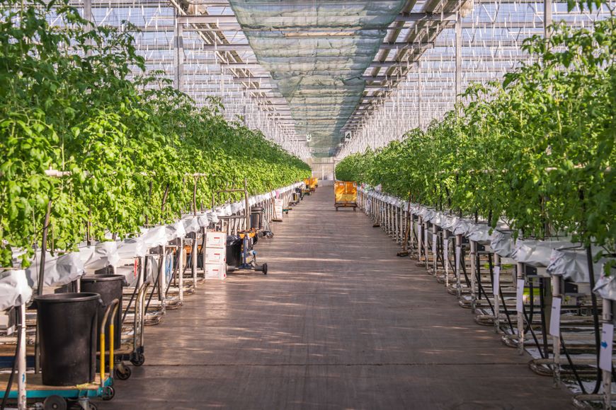 Antennas for smart farming equipment, agricultural robots and connected machinery.